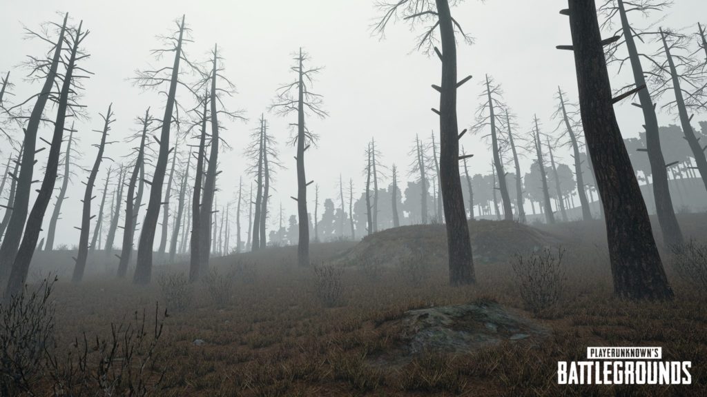PlayerUnknown’s Battlegrounds nuevas capturas de como se ve la niebla en el mapa GamersRD