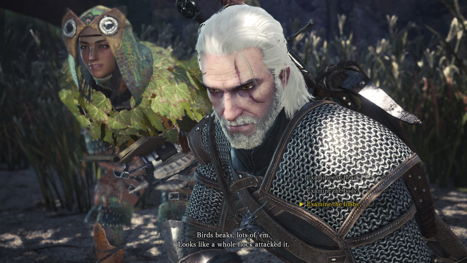 crossover, Monster Hunter: World, The Witcher 3: Wild Hunt