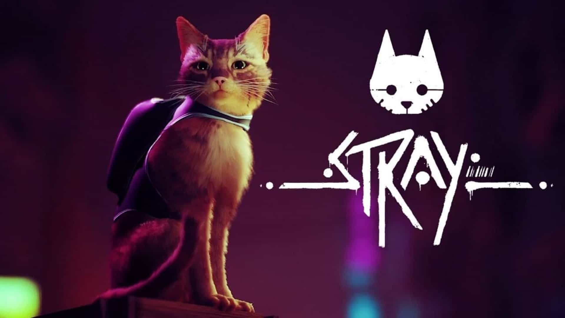 Stray y We Are OFK se lanzarán en el verano de 2022, GamersRD