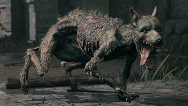 El enemigo más peligroso de Elden Ring es un perro zombie