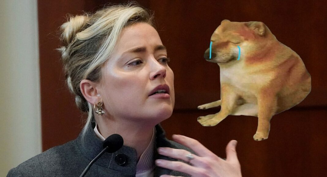 Amber Heard niega haber defecado en la cama de Johnny Depp y culpa a su perro, GamersRD