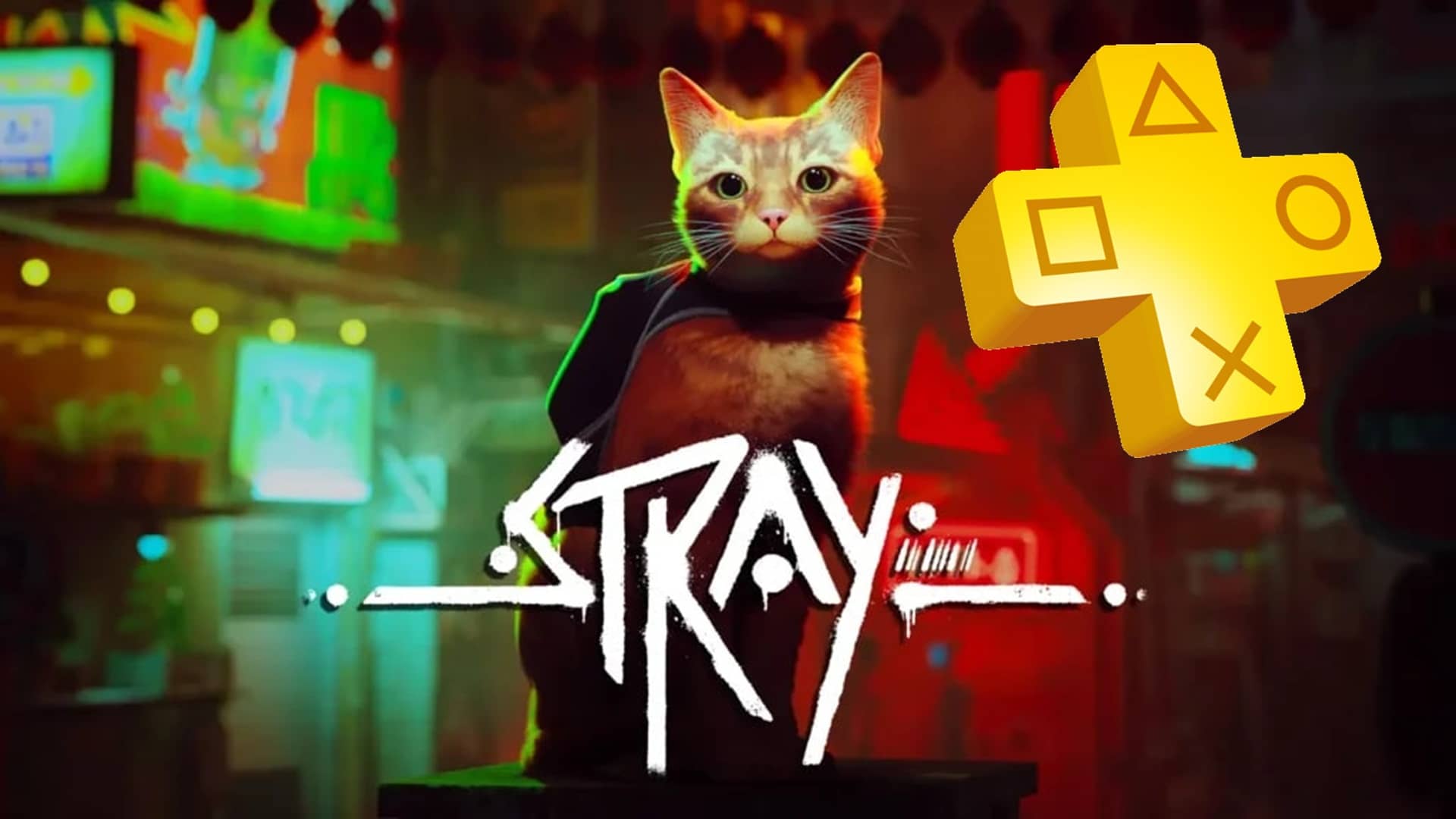 Stray estará disponible en PlayStation Plus Premium el día de lanzamiento, GamersRD