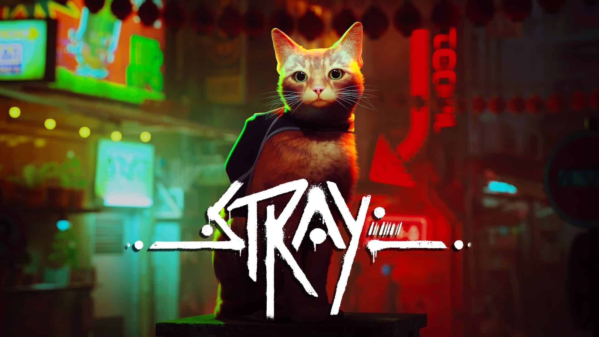 Stray-steam-count-players-GamersRD