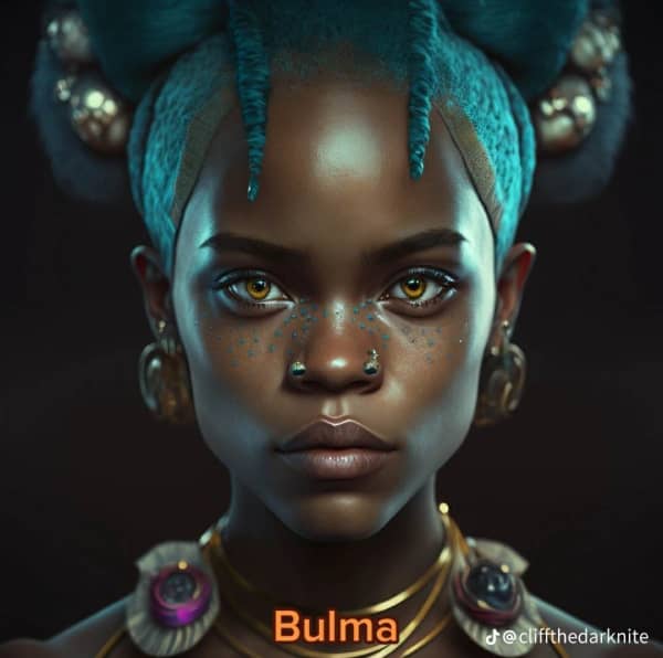bulma-version-africa