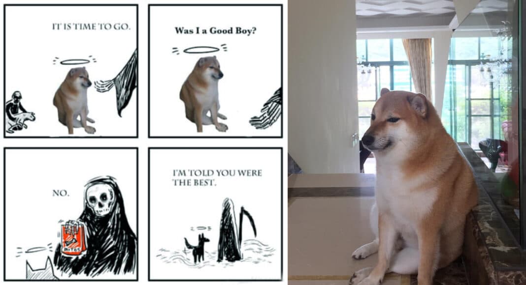 La triste partida de Cheems, el perro meme que conquistó Internet