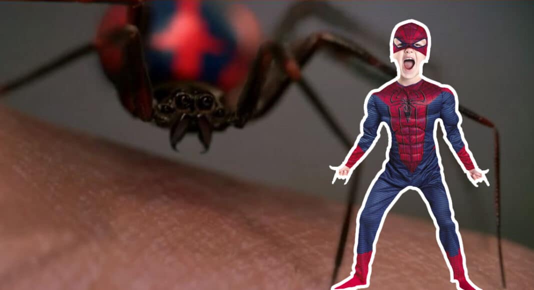 Niño de 8 años se deja morder de araña Viuda Negra para convertirse en Spider-Man