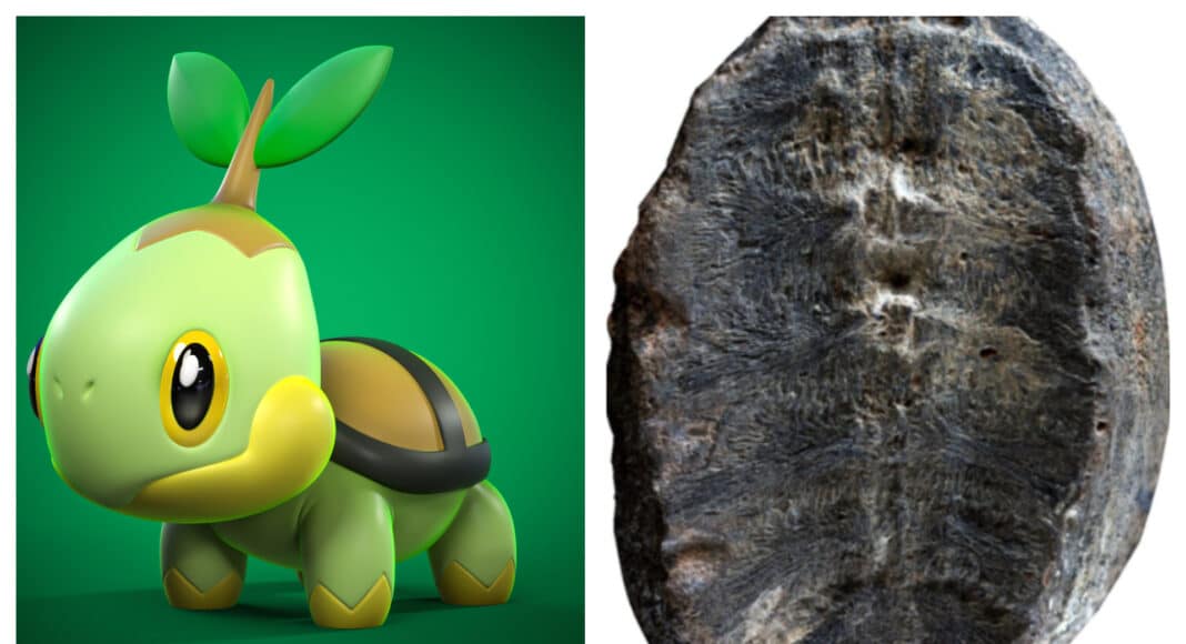 Bautizan a un fósil con el nombre de un Pokémon GamersRD
