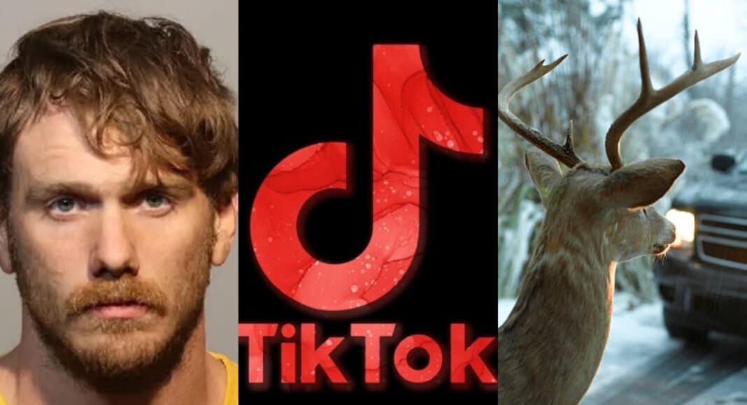 Hombre atropella a un ciervo para subirlo a TikTok GamersRD