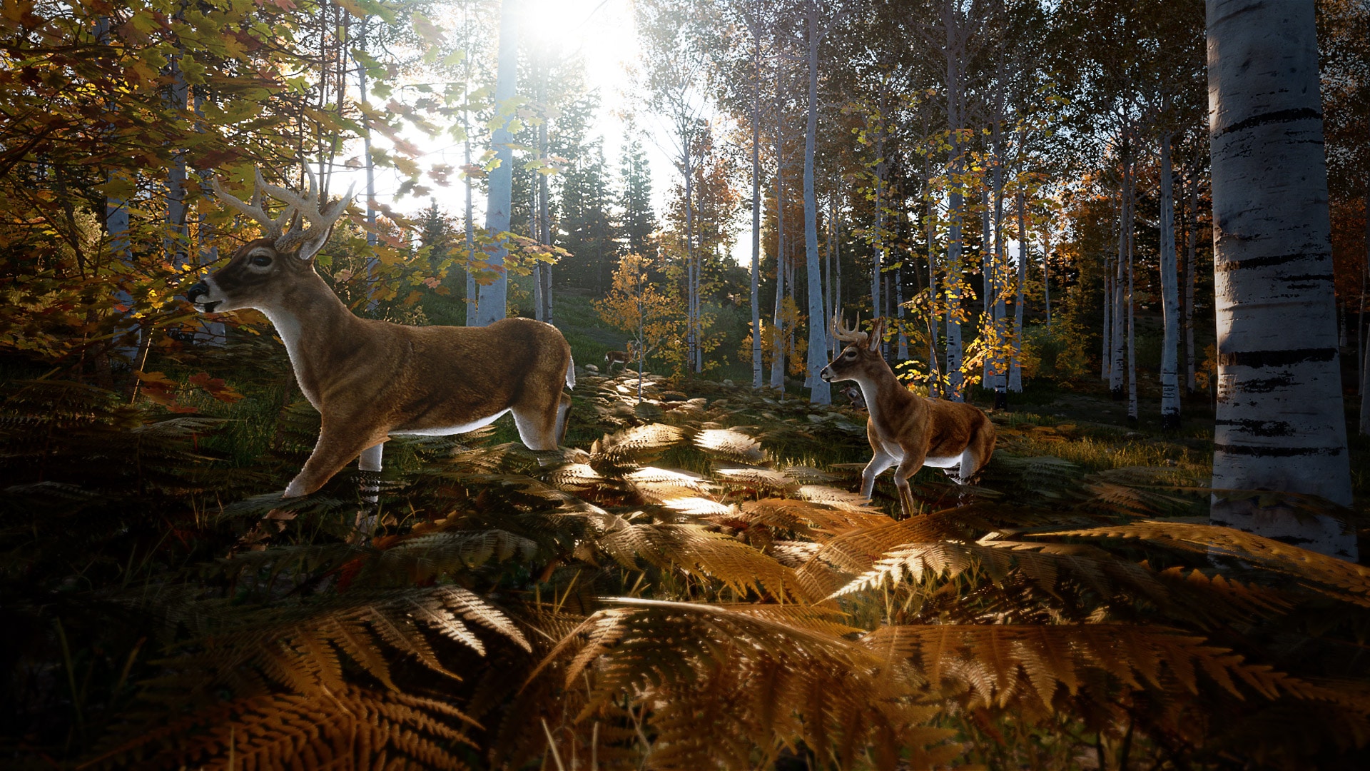 Hunting Simulator 2 Review Gamersrd6