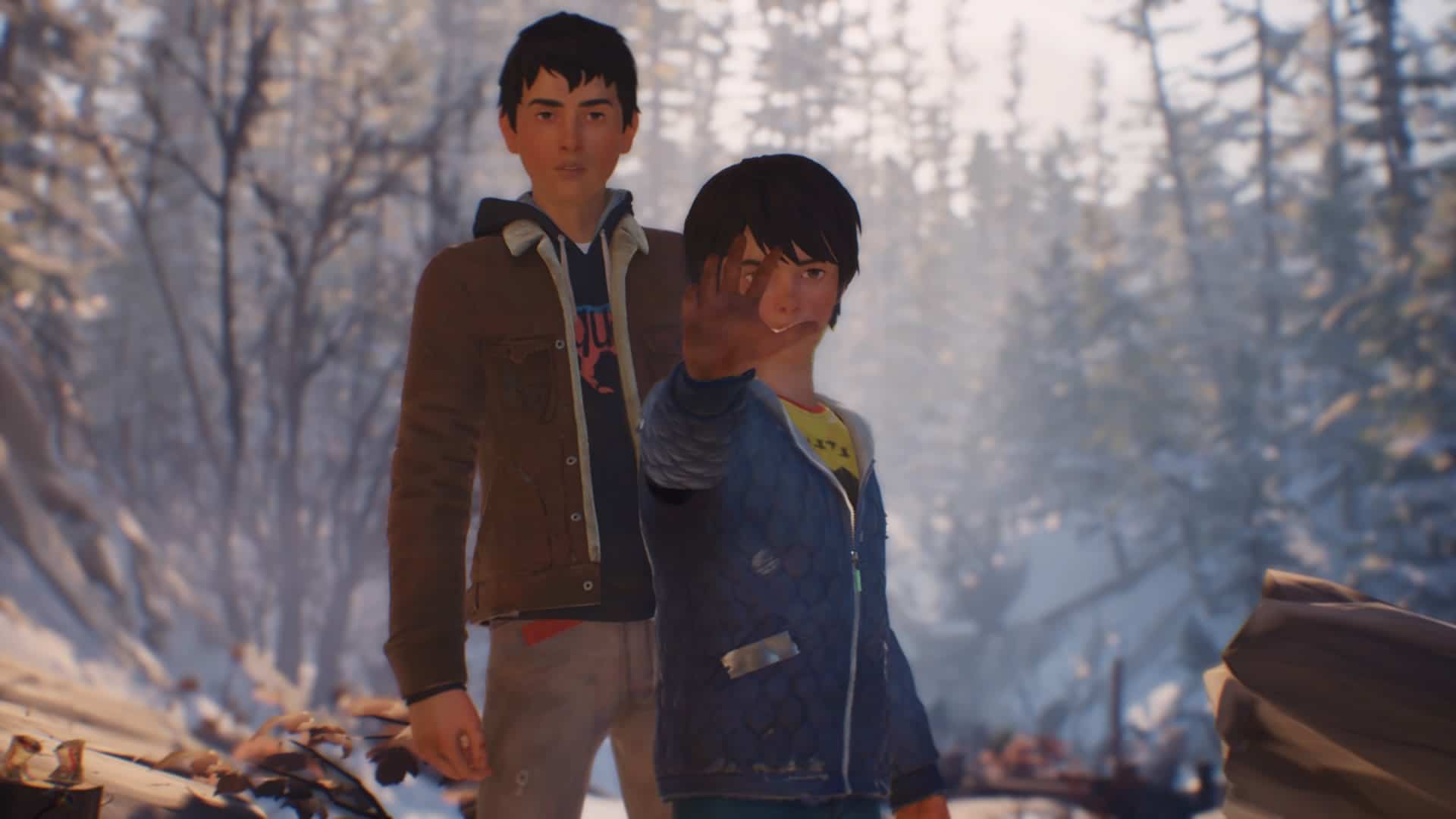 Life is Strange 2, Square Enix, Dontnod Entertainment, PS4, Xbox One, PC