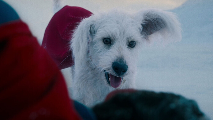 Krypto el perro de Superman tendrá su propia miniserie