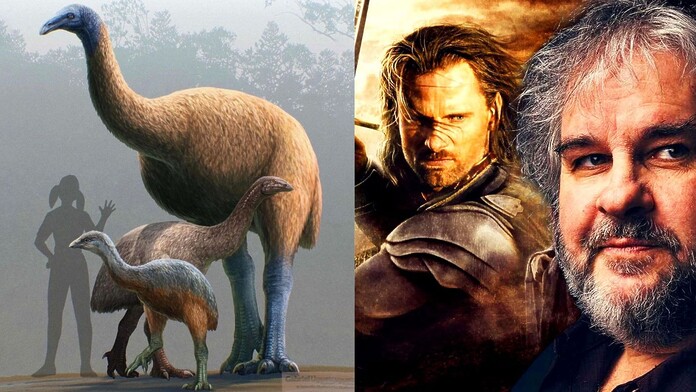Proyecto de Peter Jackson busca revivir ave extinta hace 600 años