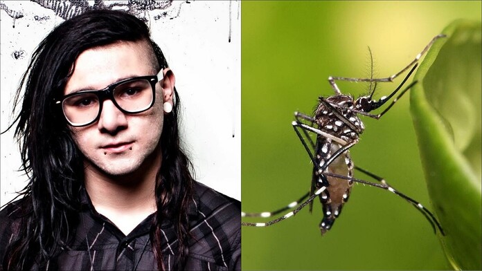 Estudio revela que música de Skrillex repele mosquitos
