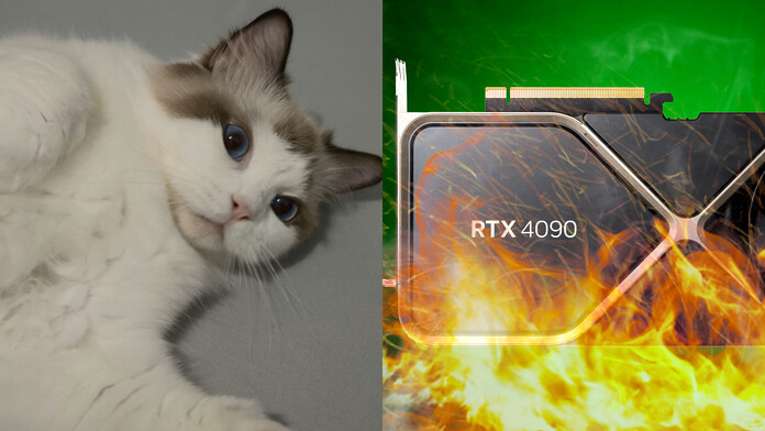 Un gato evita un incendio provocado por una RTX 4090
